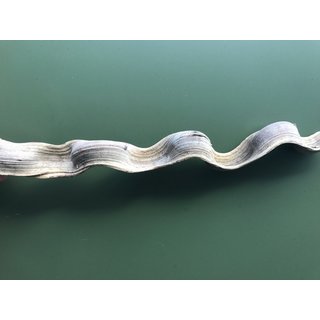 Liane aus dem Regenwald 2
