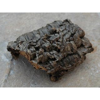 Naturkorkstück zur dekoration