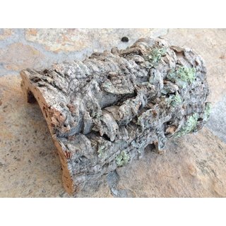 Natur-Korkhöhle ca.20cm lang,10cm breit