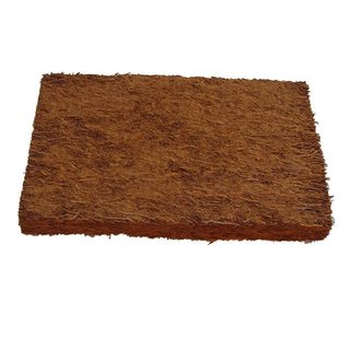 Xaximplatte 10x20x1,5cm